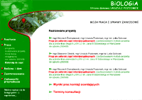 Przykładowy layout